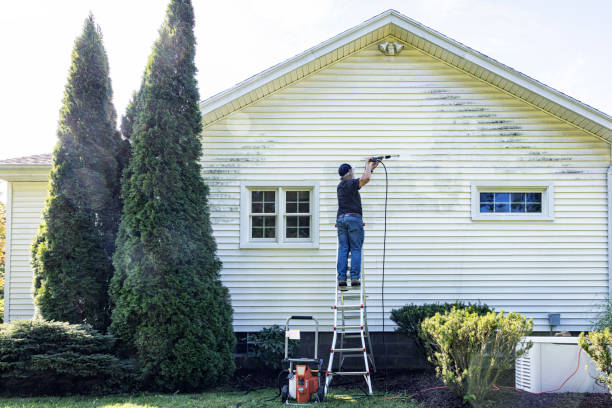 Best House Pressure Washing  in Sparta, WI