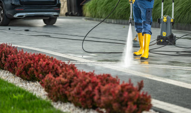 Best House Pressure Washing  in Sparta, WI